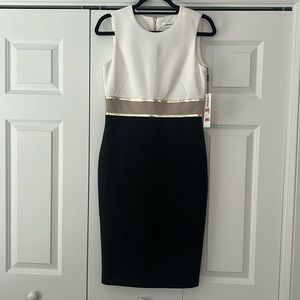 Calvin Klein Dress - Womens Size 4